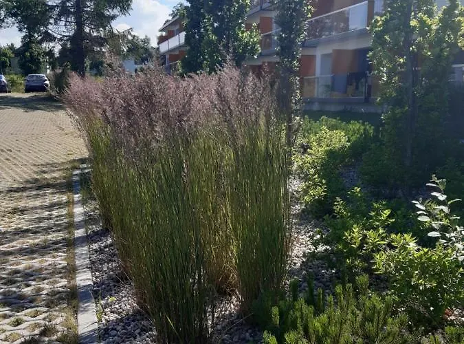 Aparthotel Sea Power 3*